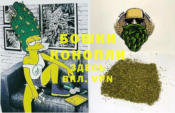 прущие грибы Корсаков