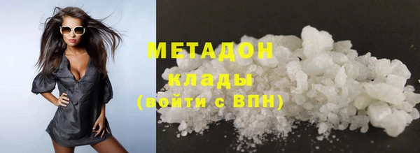 прущие грибы Корсаков