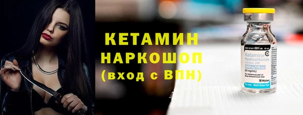 прущие грибы Корсаков