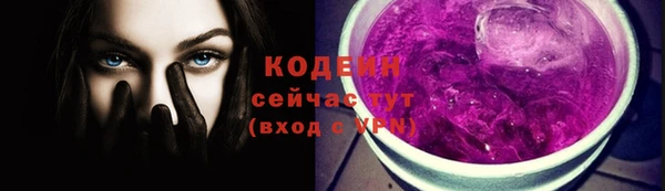 прущие грибы Корсаков