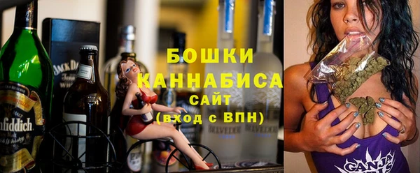 прущие грибы Корсаков