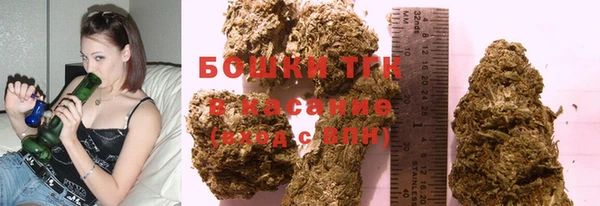 прущие грибы Корсаков