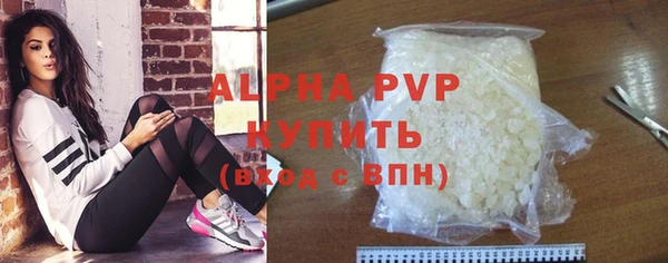 прущие грибы Корсаков