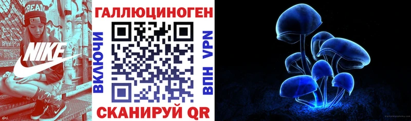 omg онион  Мосальск  Галлюциногенные грибы Psilocybine cubensis 